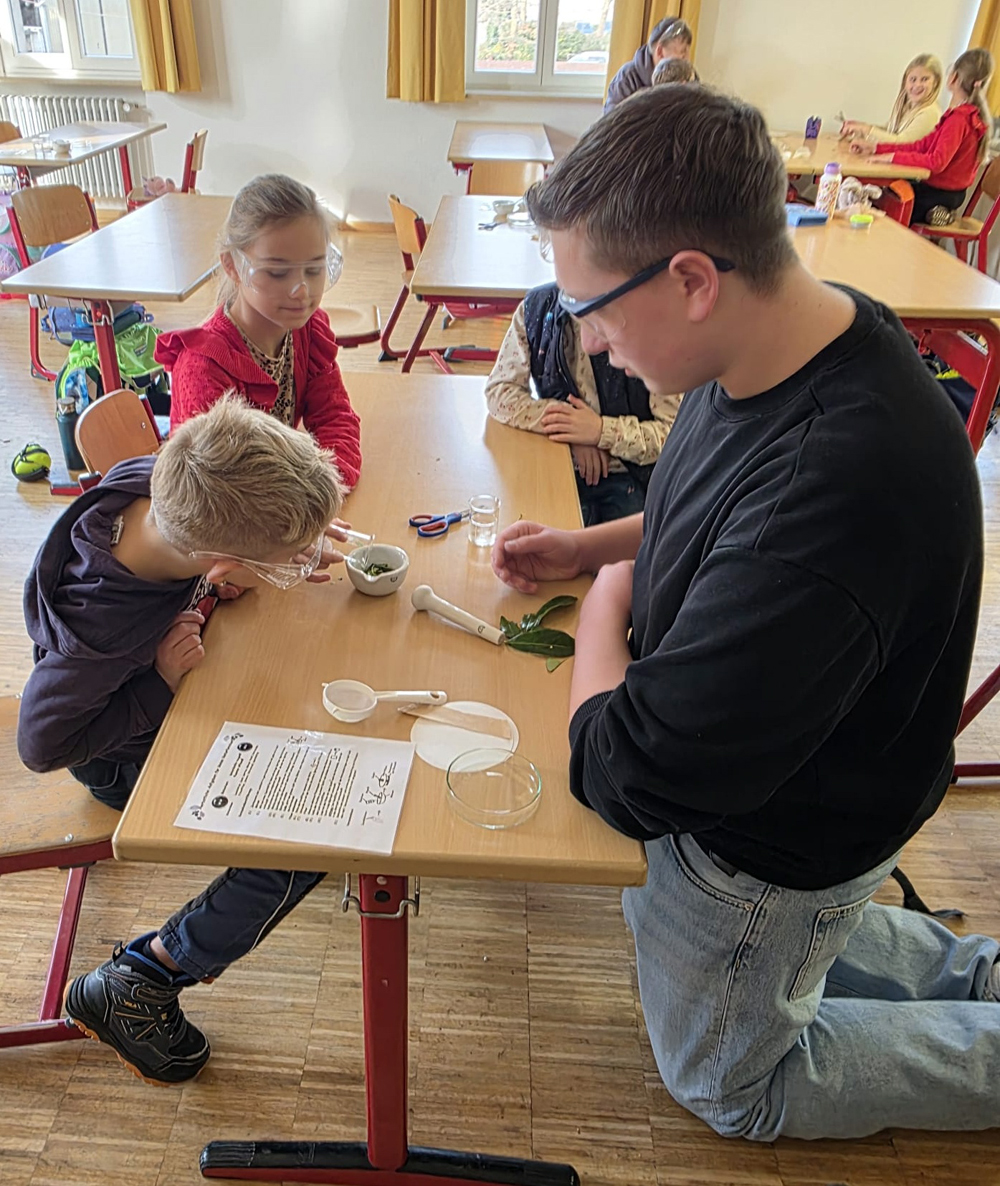 gemeinsames.Experiment